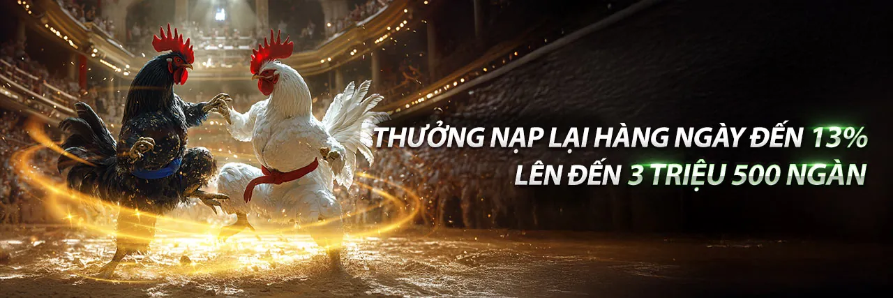 Đá gà trực tuyến 56win08